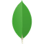 MDB